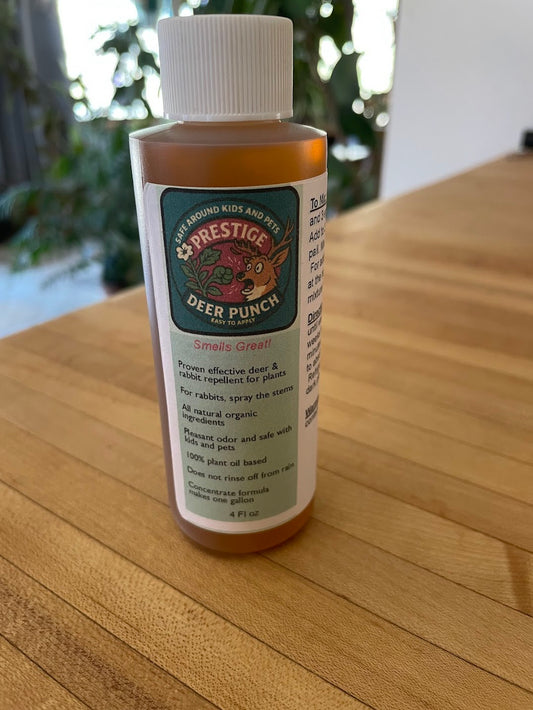 Prestige Deer Punch - 4 Oz Concentrate