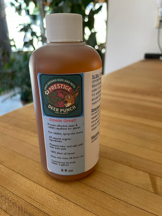 Prestige Deer Punch - 8 Oz Concentrate