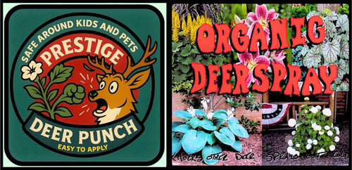 Prestige Deer Punch logo
